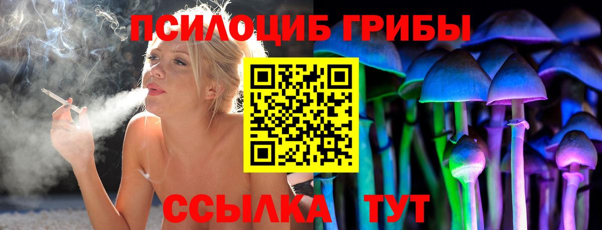 Псилоцибиновые грибы Magic Shrooms  Вход с VPN  Тверь 